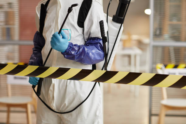 Professional Hoarding Cleanup technician working in Babcock, WI